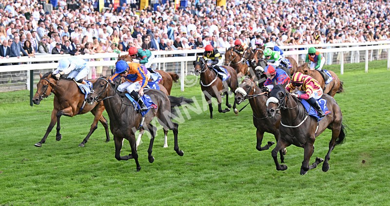 220826-201 Sondad - Race 5 16.10pm Sky Bet Constantine Handicap