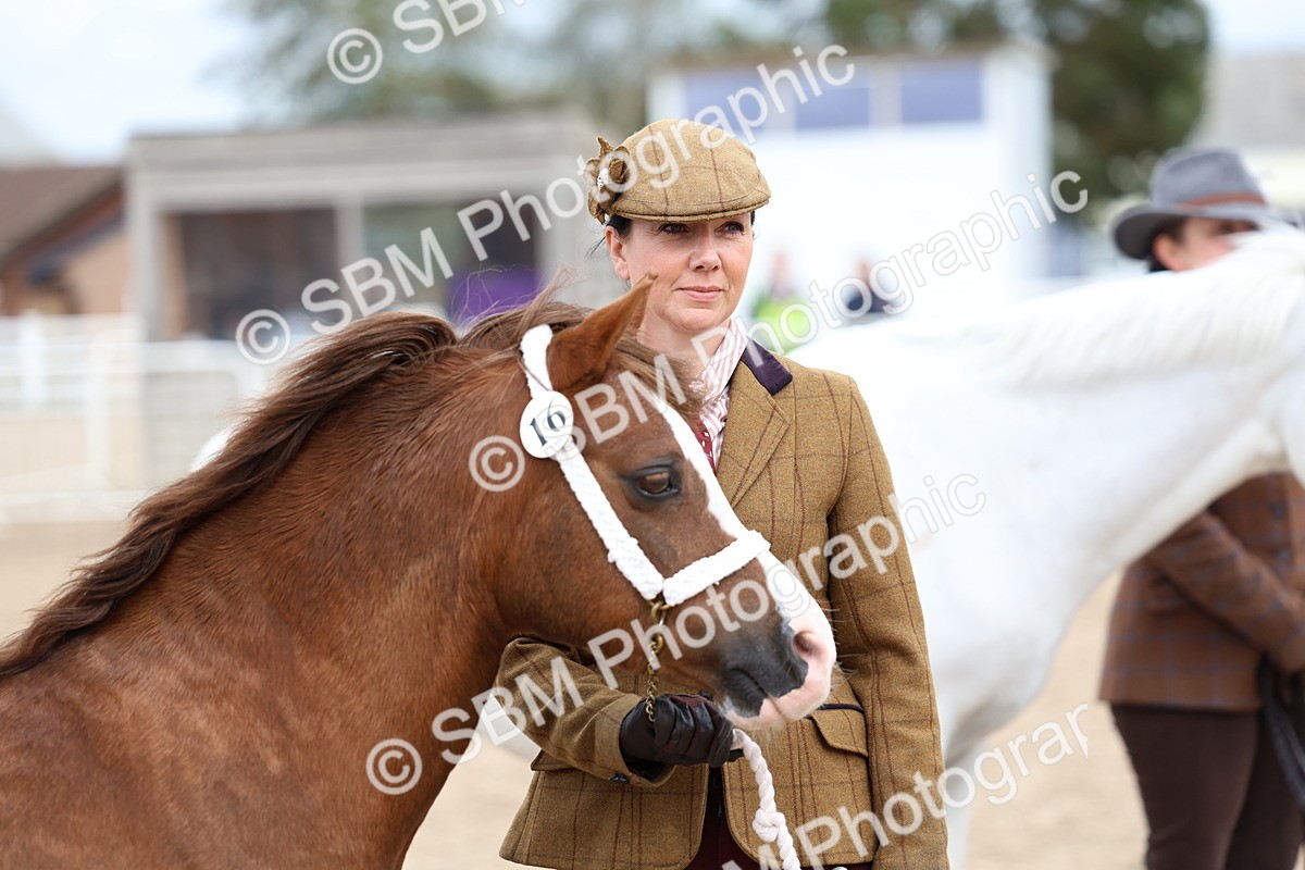 SBM_05969 - Class 29 - IH Veteran Pony