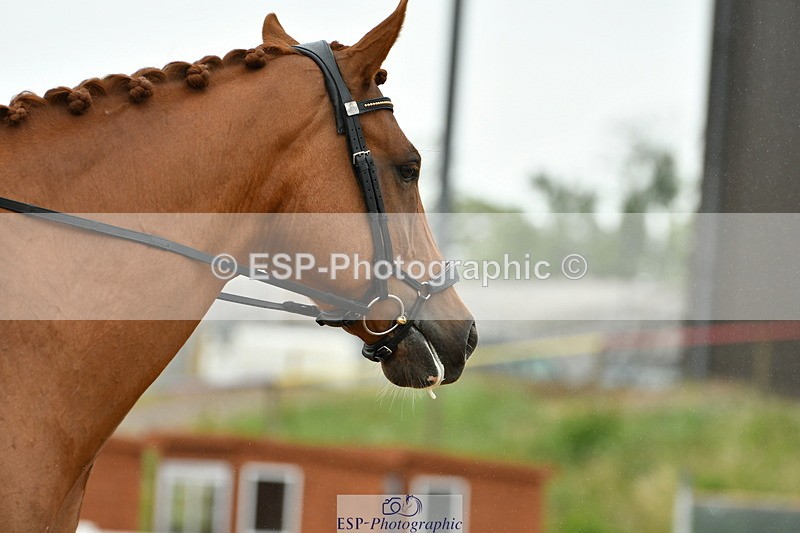 230630A-125036-01934 - Cls 7 Elementary 45