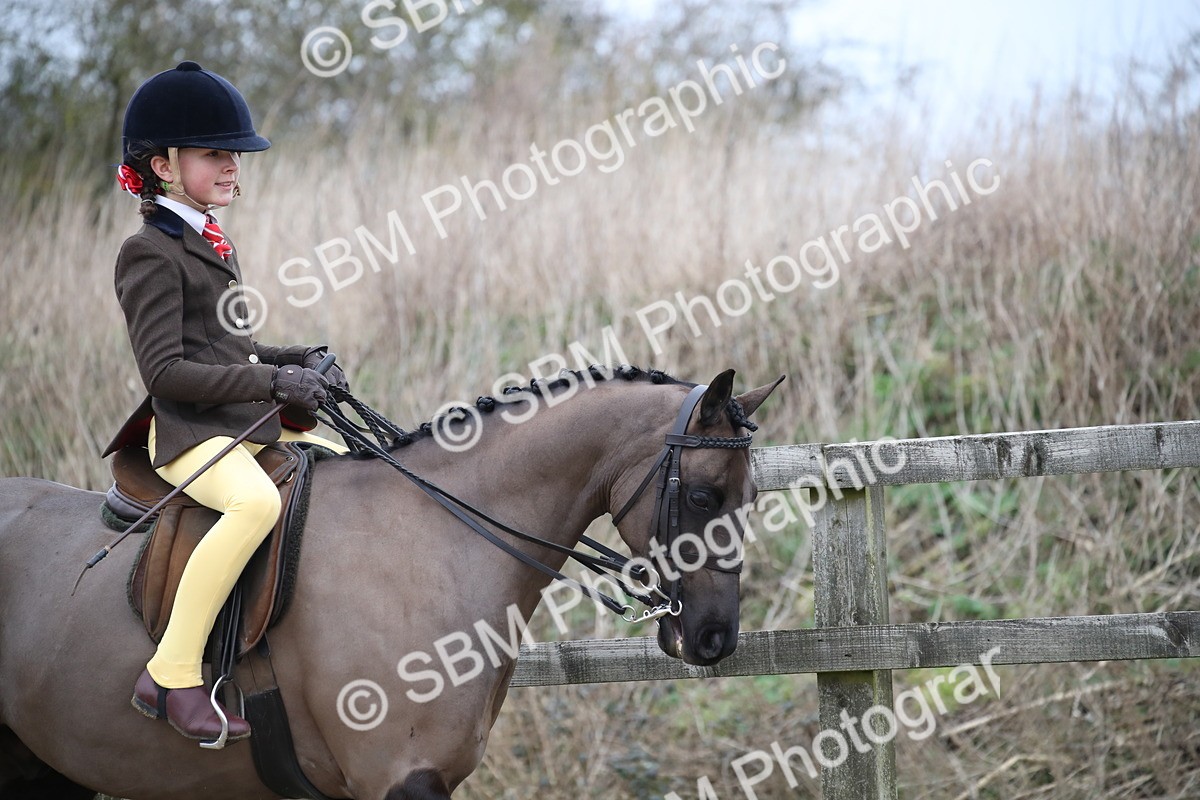 SBM_004634 - Class 5-9 - NPS In Hand-Show Hunter-Intermediate Ridden Inc Ridden Championship