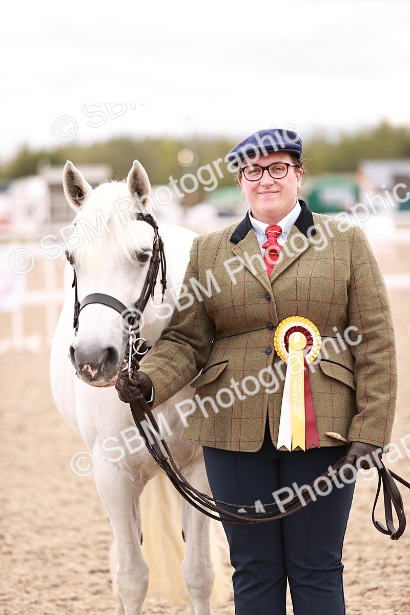 SBM_16371 - Class 413 - Best Condition - Adult