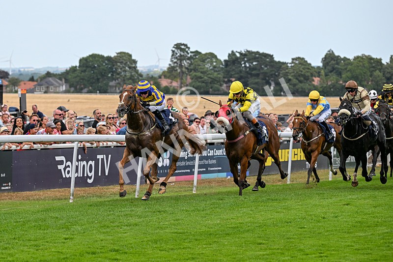 280726-Race 6-Azuinthejungle-1706 - Race 6 16.30pm It's Ladies Day Next On 12 August Handicap