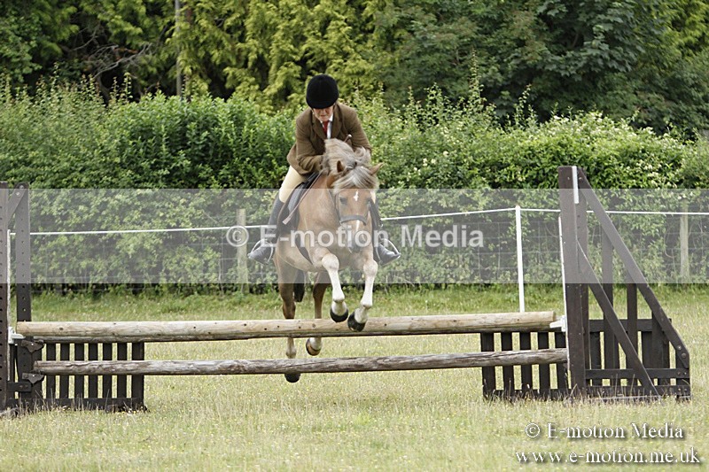 BVR160717-132 - Ring 3 BVRC Show 16/07/17