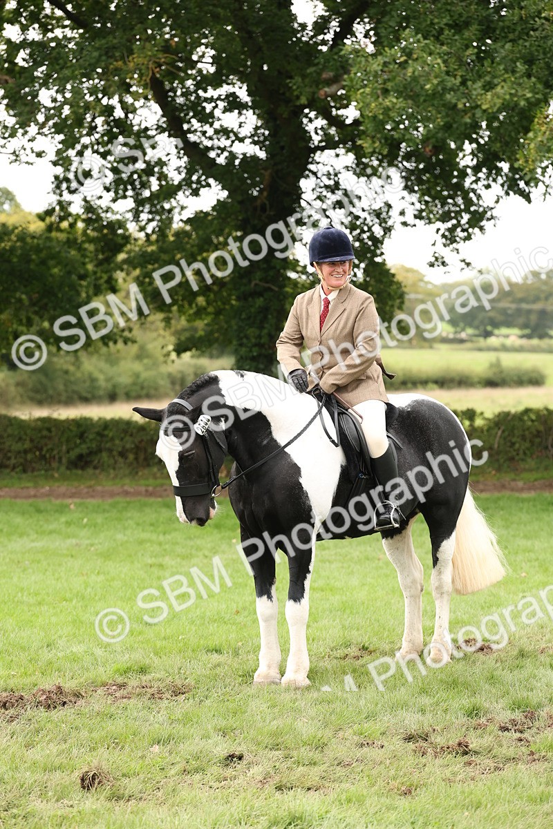 SBM_67276 - S67 - Piebald & Skewbald Horse Ridden