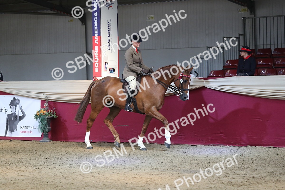 SBM_08282 - Class 11R Regional Ridden Veteran