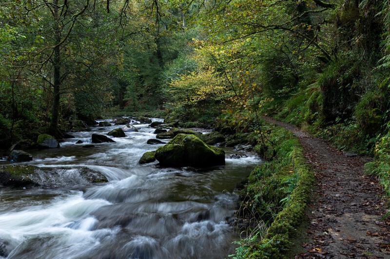 East Lyn River II - North Devon