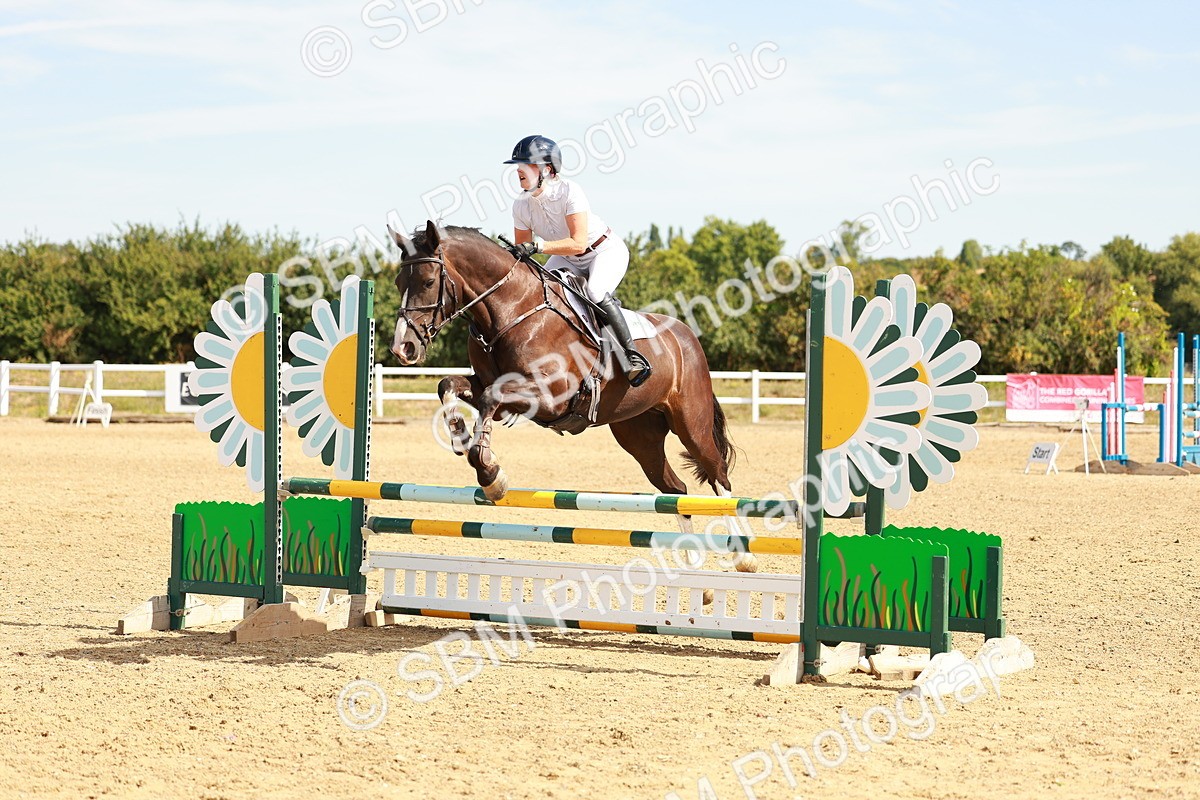 SBM_002738 - Class 9 - Senior British Novice - 90cm