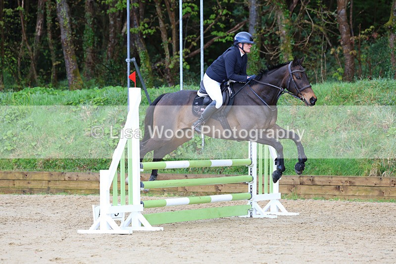 3E7A0688 - Class 4: Senior British Novice/90cm open