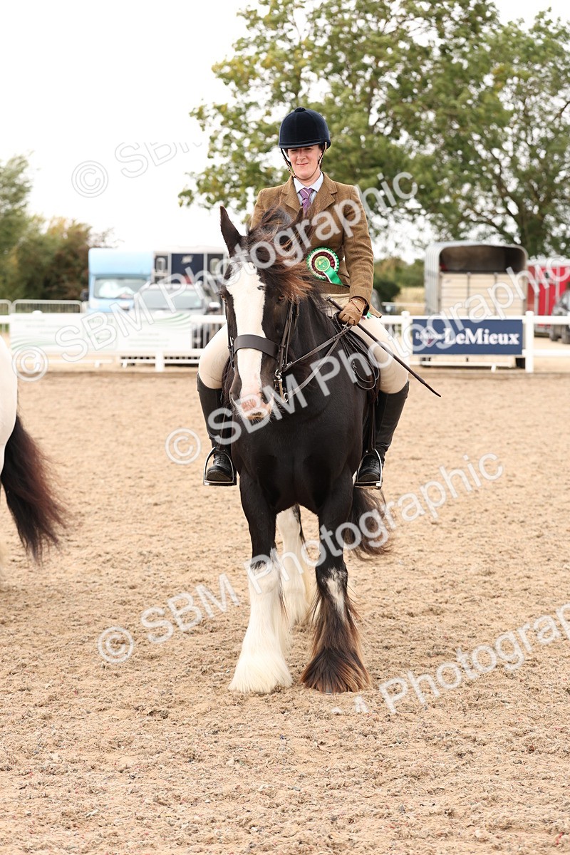 SBM_19739 - Class 216 - Ridden Traditional - Native Cob