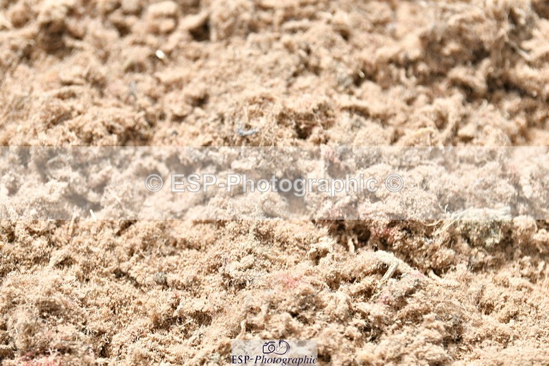 230819A-135354-00735 - Cls 29, 30 +31 1.20m, 1.25m and 1.30m