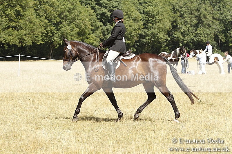 _BS_0794 - BVRC Show 2018 Ring 1