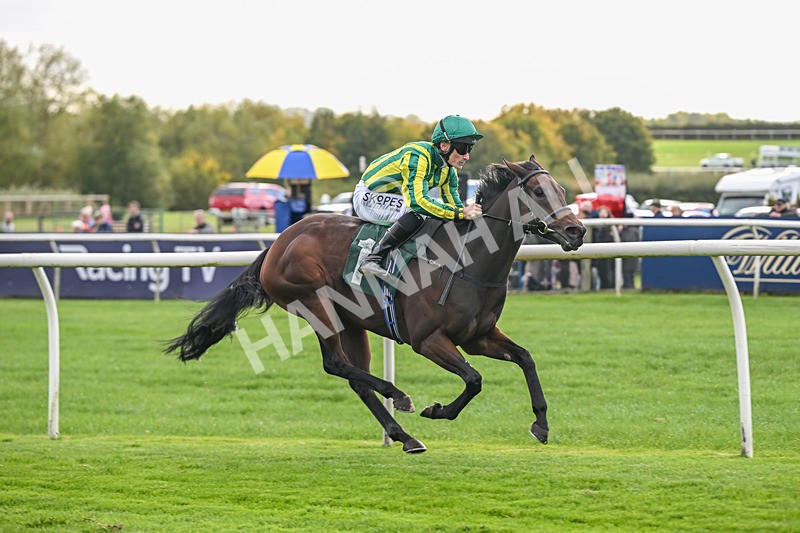171026-Race 2-Inkberrow-4944 - Race 2 1.35pm Every Race Live On Racing TV Novice Stakes