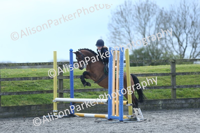 20260412-1785 - Show Jumping