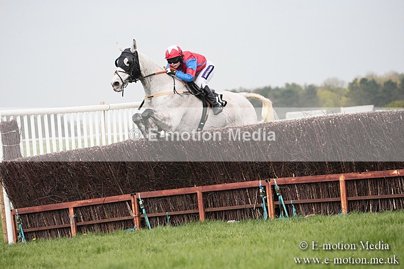 PtP 210418 277 - South & West Wilts Point-to-Point Larkhill 21/04/18