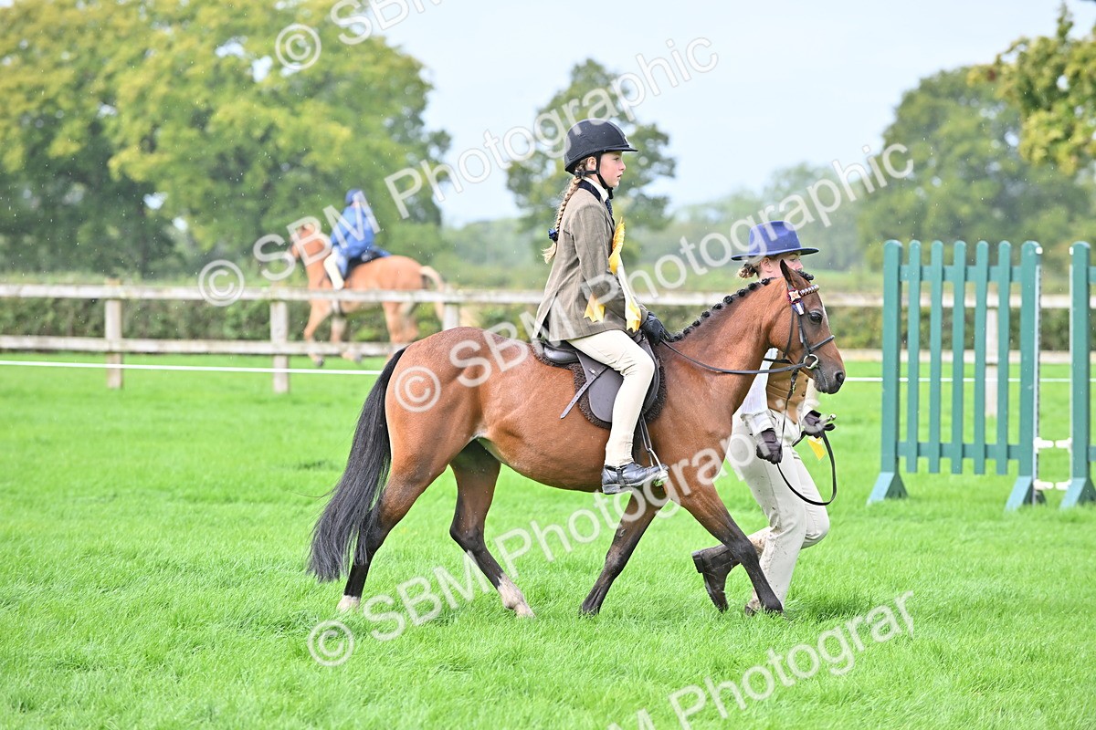 SBM_38373 - S19 - Lead Rein Show & Show Hunter Pony