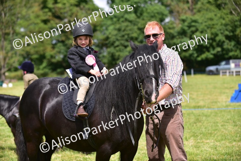 20260614-1346 - Class 11a - Lead Rein Pony (Unplaited)