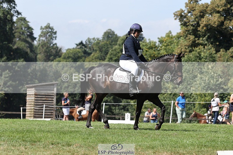 250823A-131238-31258 - Arena D