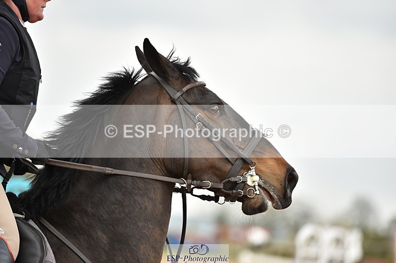 240331A-145722-01175 - 1.05m Second Round