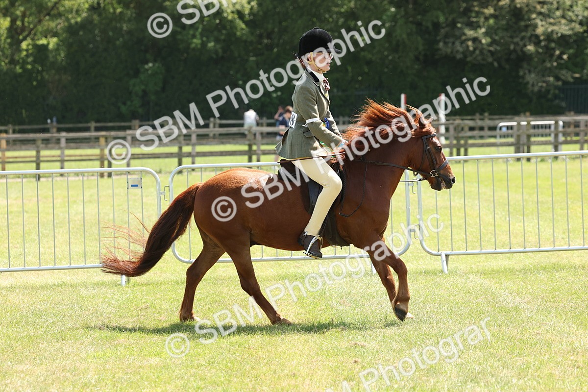 SBM_06874 - Class 26-30 - Mountain and Moorland Ridden