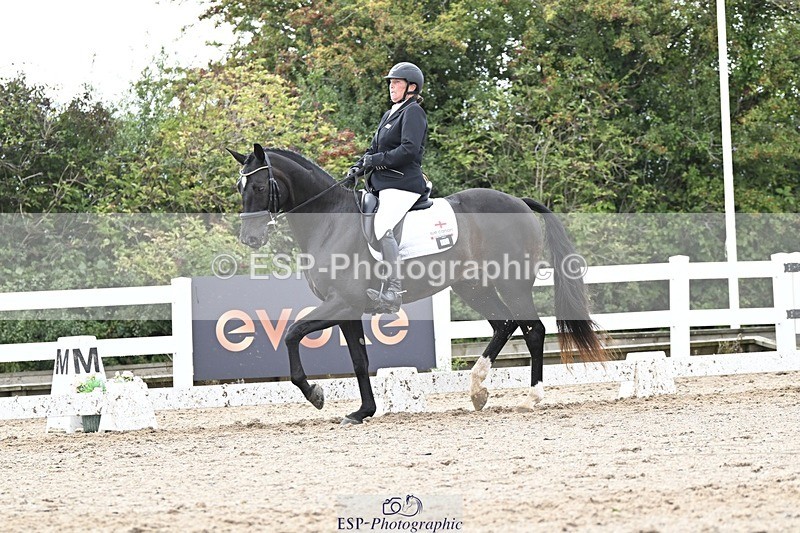 250907-161553-10496 - 123-Sam.YorkOakring.Santino