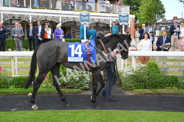 yr11062022r5-1 - Race 5 3.40pm The Pavers Foundation Catherine Memorial Sprint Stakes