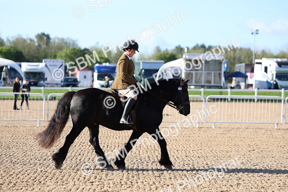 SBM_08879 - Class 302 - Ridden M&M - Large Breeds