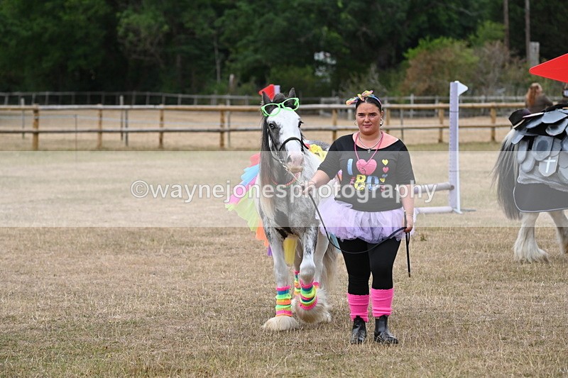 WJ6_8871 - Class 11 Fancy Dress