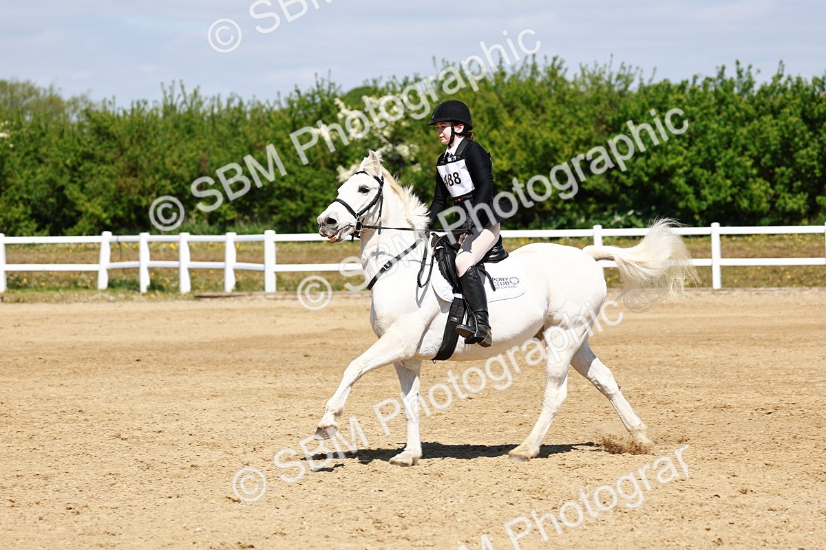 SBM_007649 - Class 3 - 60cm