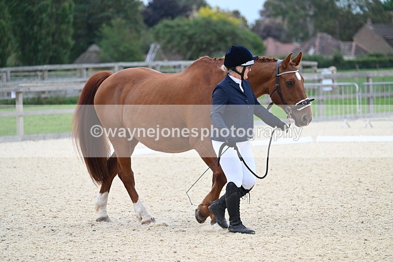 WJ7_1804 - Class 1 & Champs