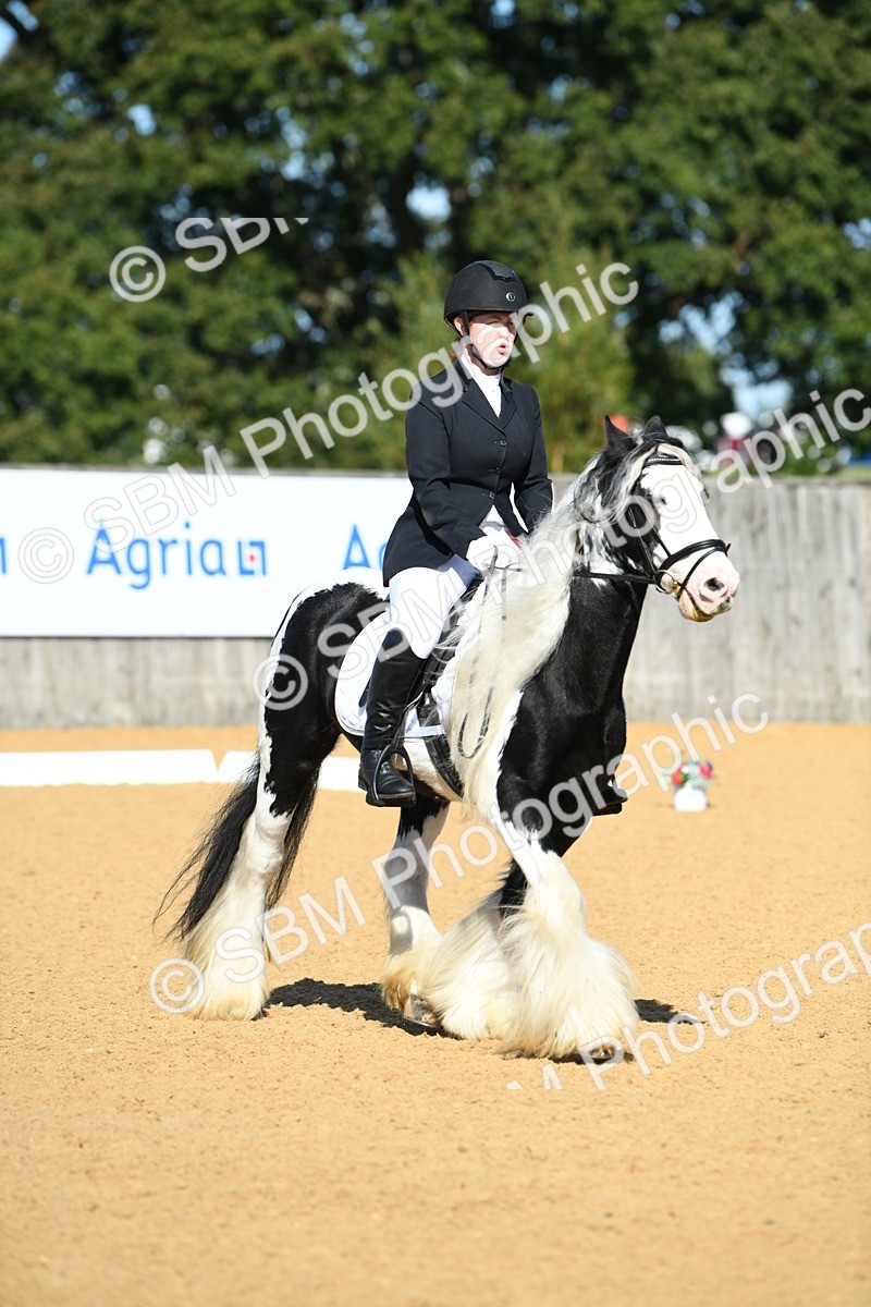 SBM_18054 - D4 - Small Tour Championship - Intro B