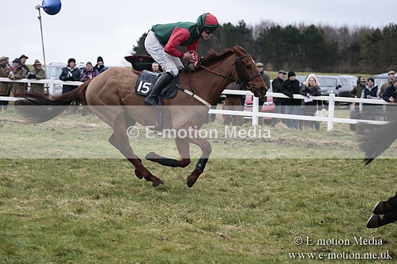 PtP 180218 586 - Combined Services Point-to-Point Larkhill 18/02/18