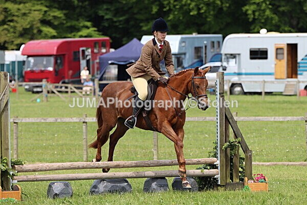 IMG_2966 - Working Hunter