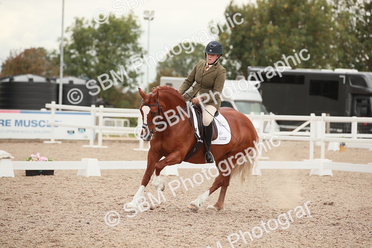 SBM_06107 - Class 33 - Elementary 1