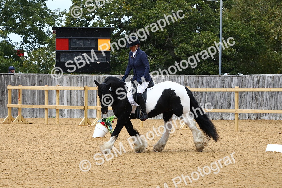 SBM_21010 - D5 - Small Tour Championshop Intro 2