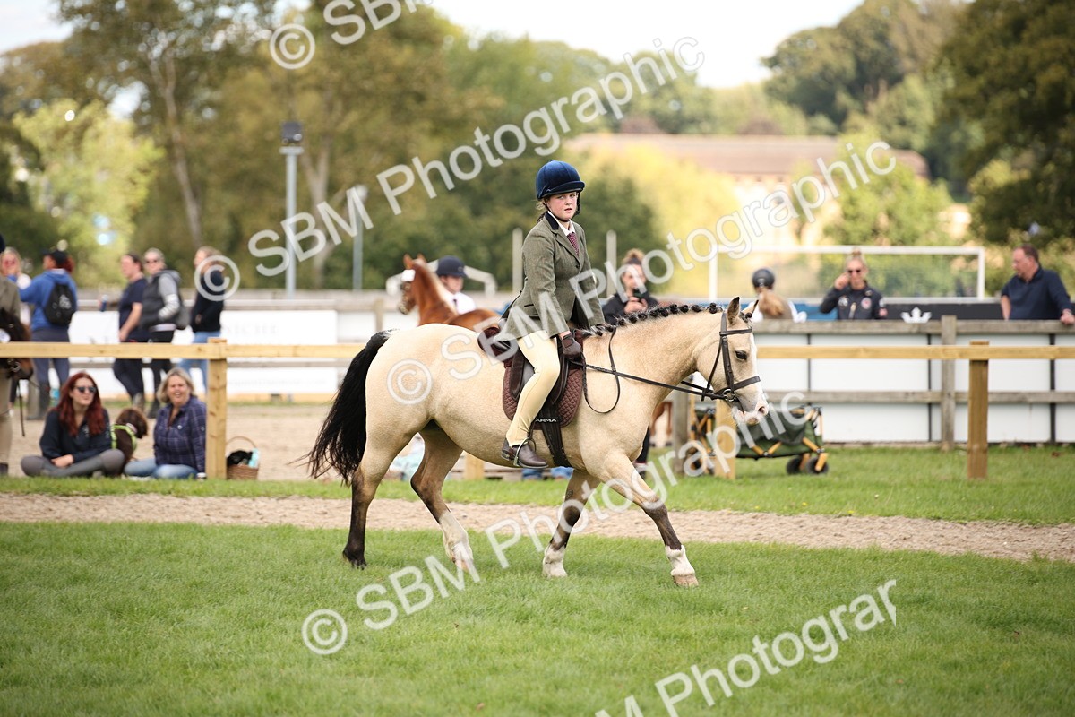 SBM_42300 - S13 - Pony Club Pony