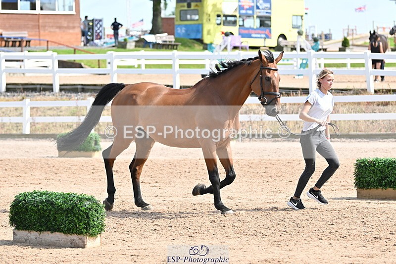 240717A-155339-03149 - Trot Up 3pm to 4pm