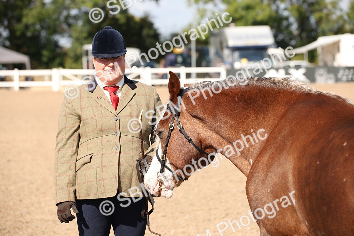 SBM_02807 - Class 16 IH M&M Wildcard