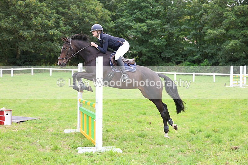 3E7A6994 - Class 5: Senior British Novice/90cm open