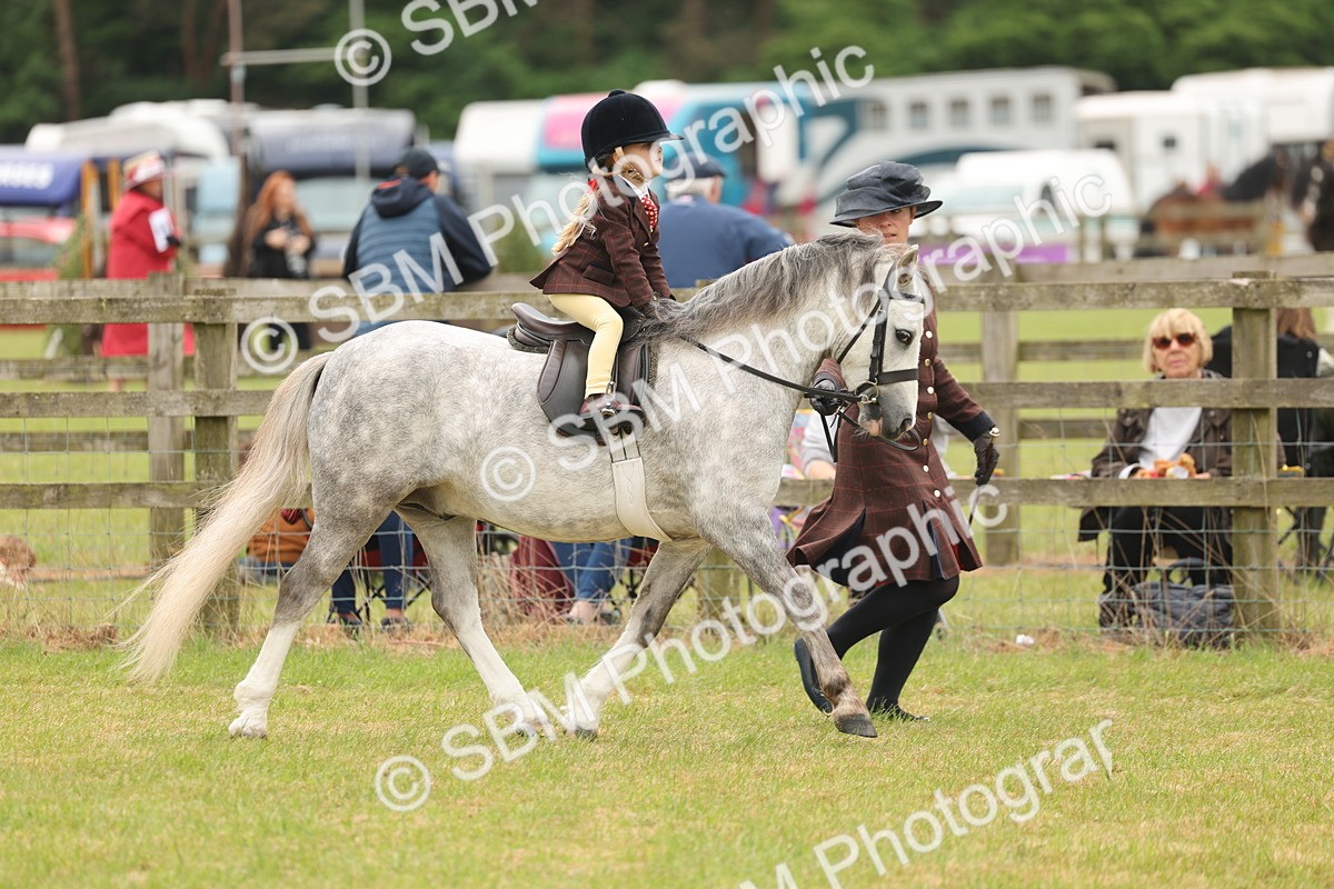 SBM_06671 - Class 74-75 - M&M Lead Rein and First Ridden Pony