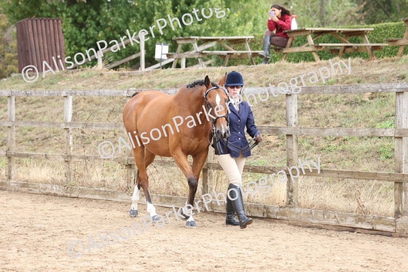 20260831-1898 - Class 5 - Retraining of Racehorses