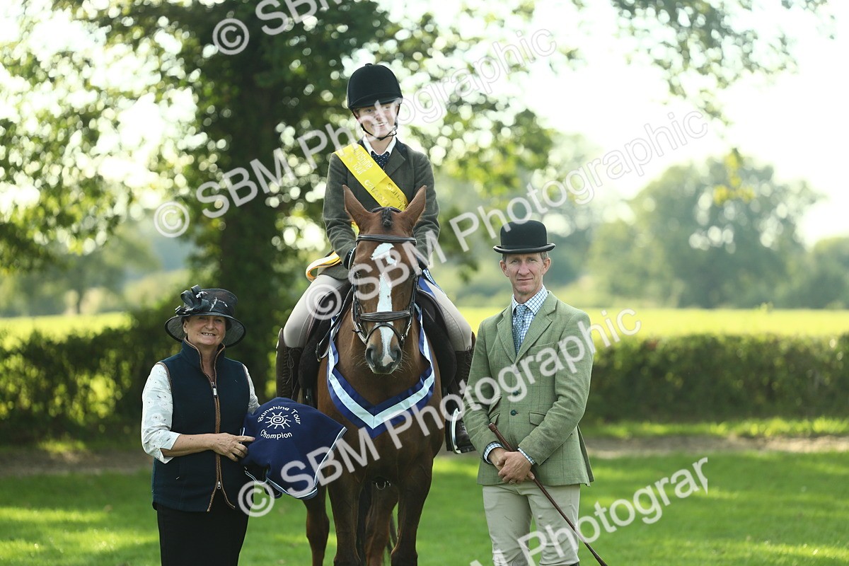 SBM_52302 - Working Hunter Supreme Championship