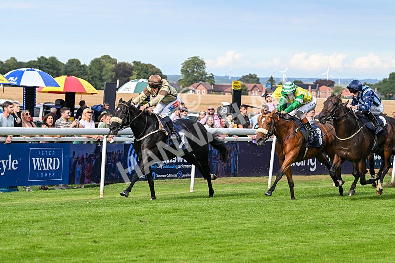 290725-Race 6-Jojo Rabbit-1006 - Race 6