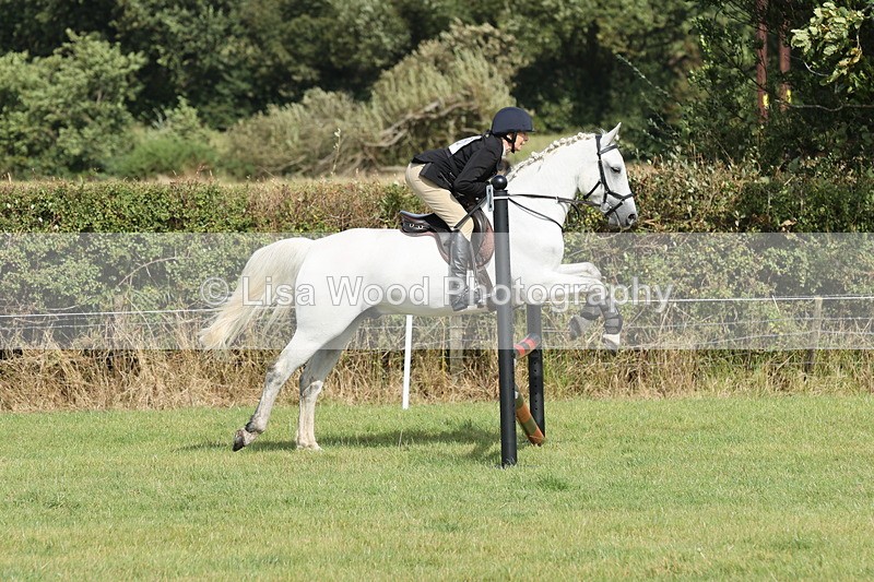 JPP_8580 - Class 2: Trekenning: 80cm Showjumping