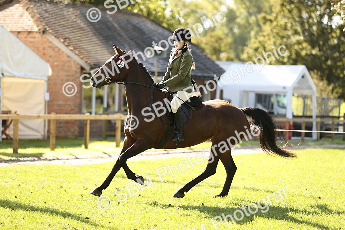 SBM_16981 - S2 - TSR Ridden Pony Showing