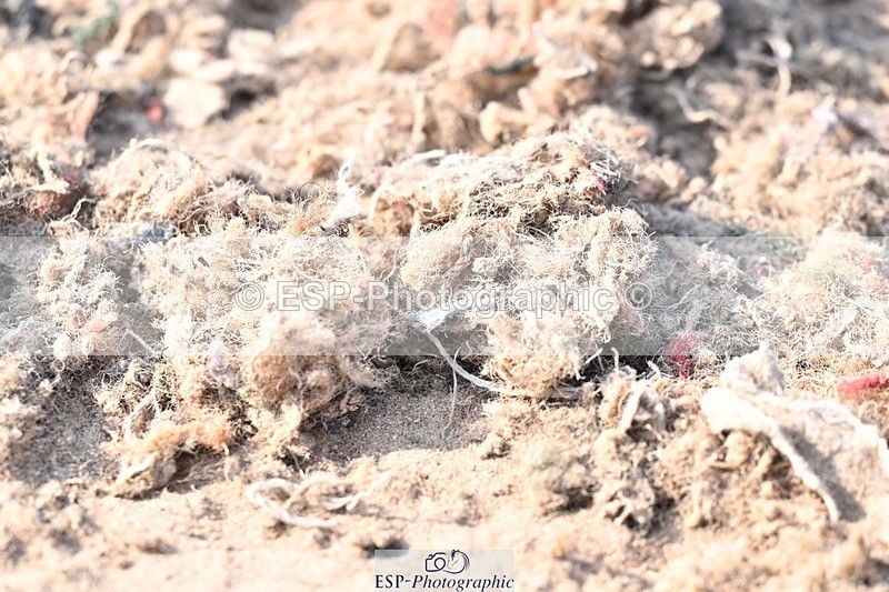 250621-180721-12479 - Cls 36 - Adv Medium 6