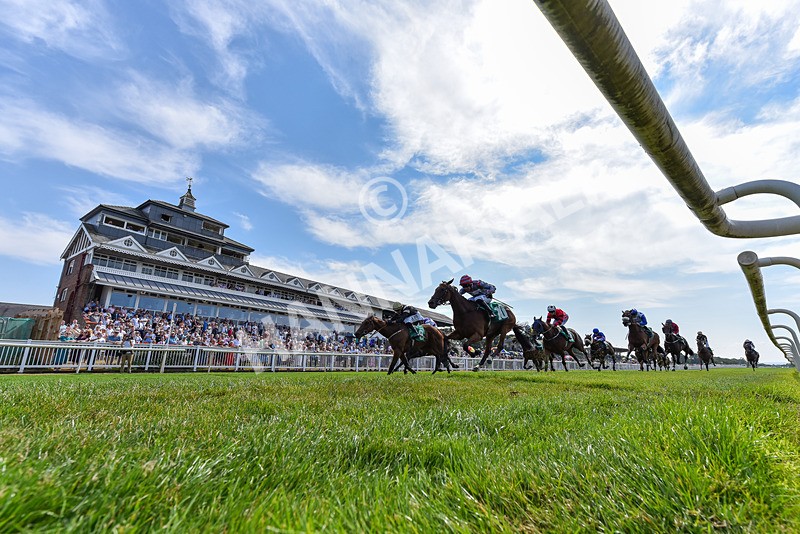 160726-Race 4-Park Lane Penny-3393 - Race 4 15.38pm Don't Miss Summer Family Days @thirskraces Classified Stakes