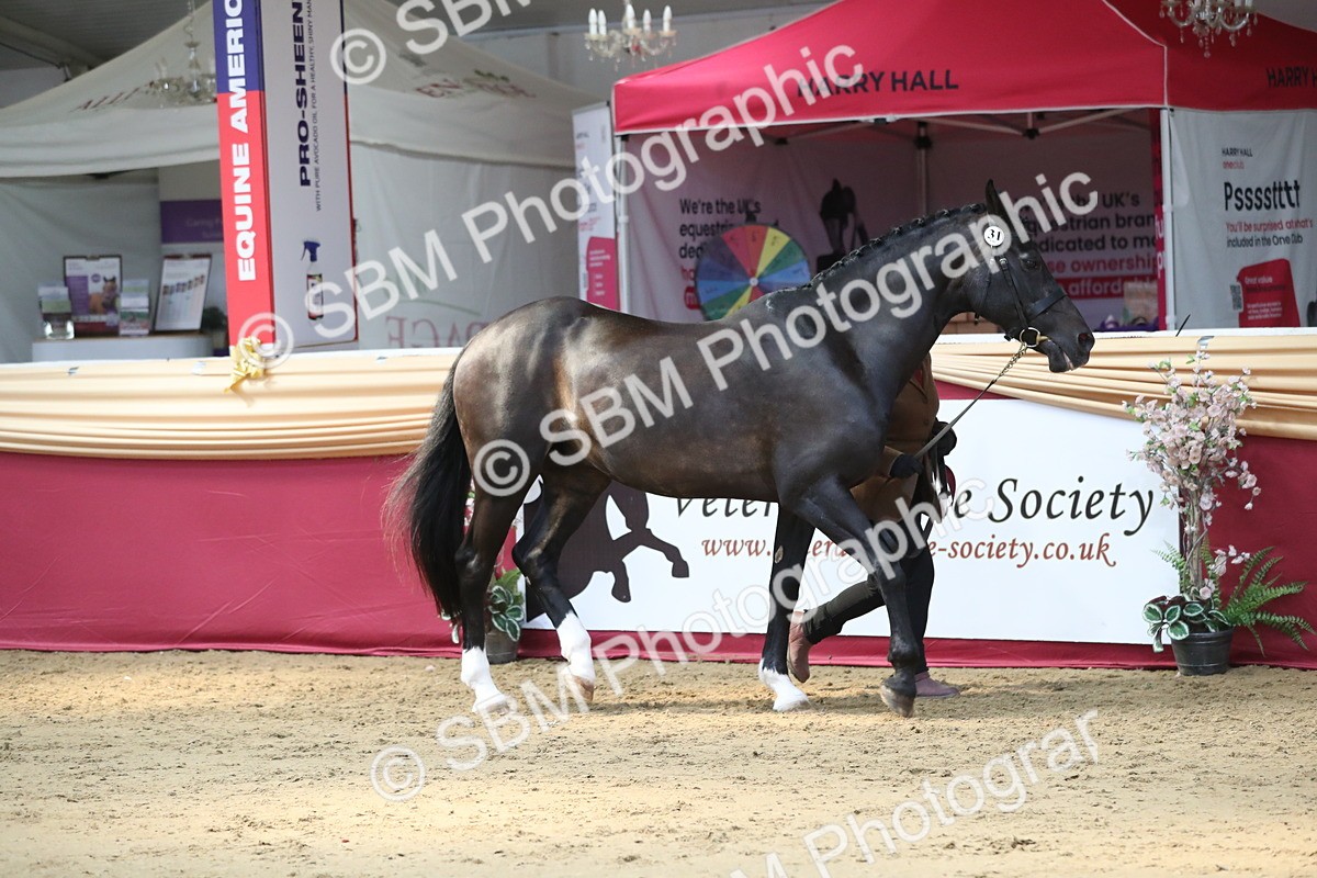 SBM_04513 - Class 7R Regional - IH Diamond