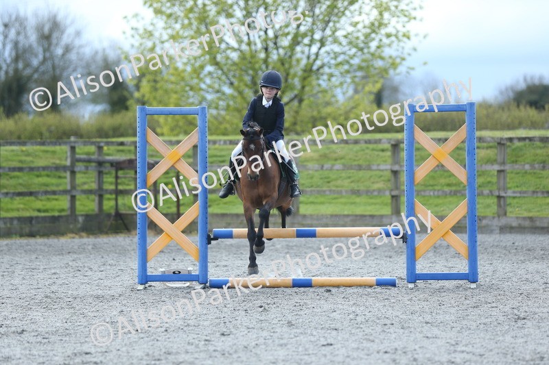 20260412-1794 - Show Jumping
