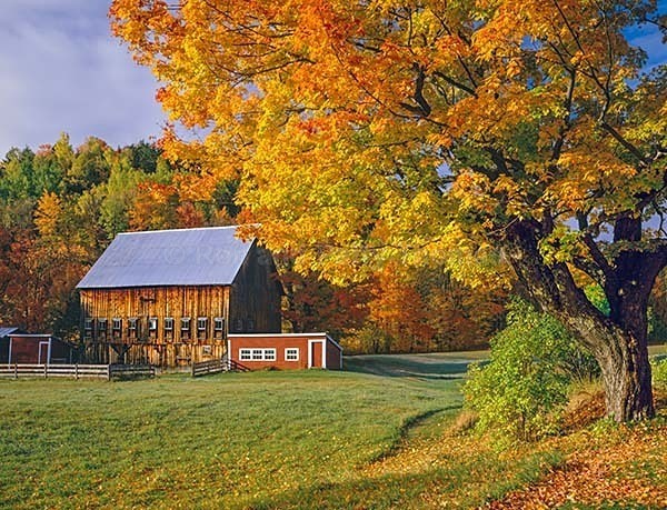 Istock #21490175 - Autumn Colors all over North America