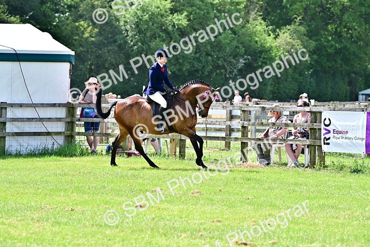SBM_03728 - Class 58 - TSR  Ridden Veteran Amateur of the year